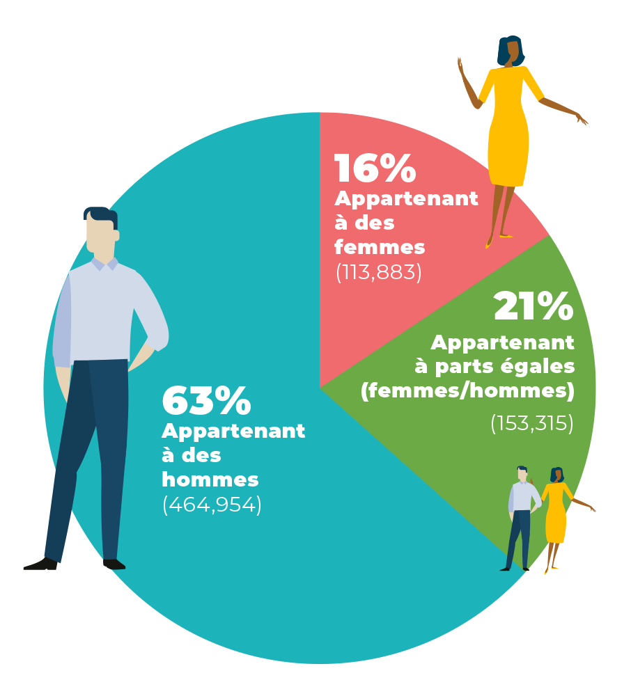Graphique démontrant le pourcentage du taux de propriété des entreprises canadiennes